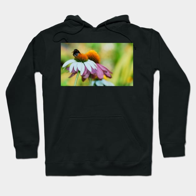 Echinacea Purpurea with Bee Hoodie by jojobob